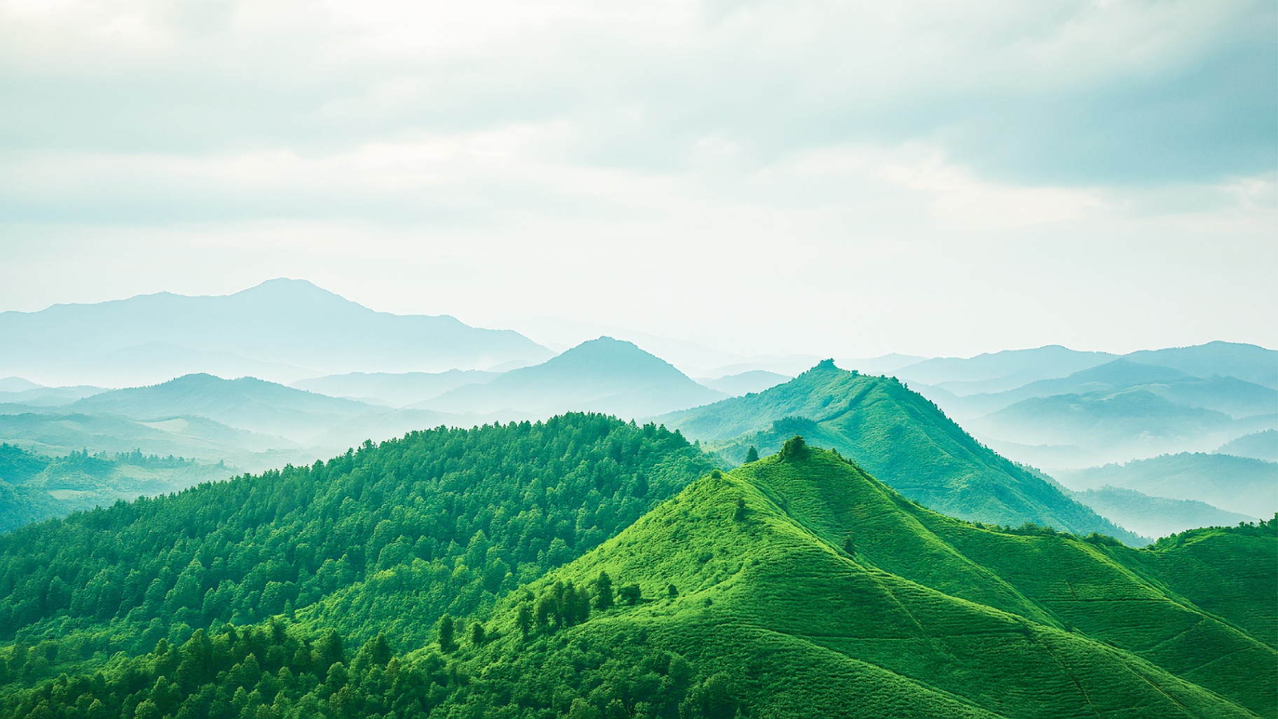 Green mountains symbolizing ecological restoration