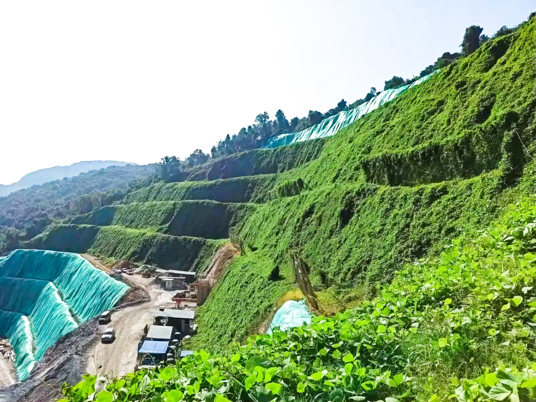 High Slope Eco-Restoration — Phase 2